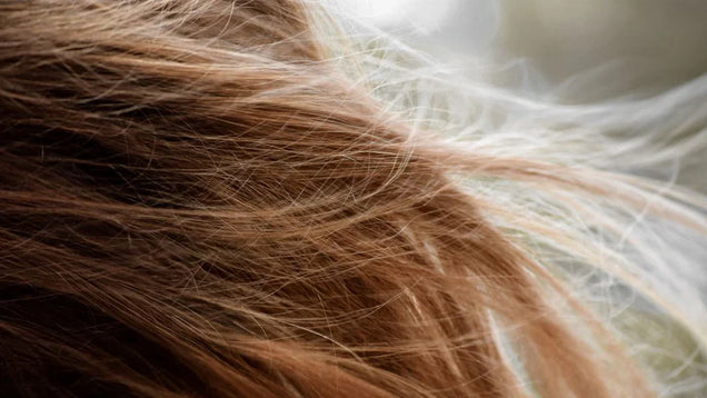 Seasonality of Hair Shedding: Why Your Hair Falls More in Autumn and Spring